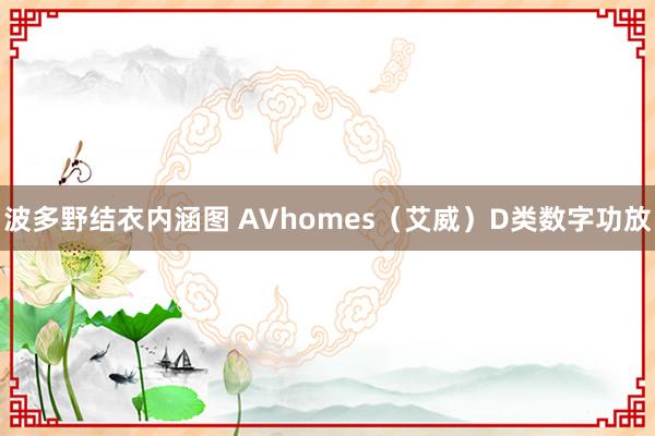 波多野结衣内涵图 AVhomes（艾威）D类数字功放