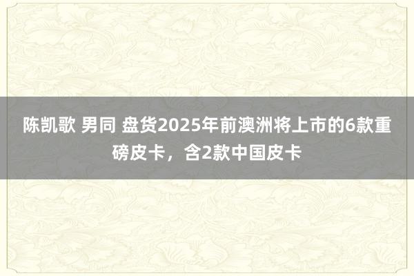 陈凯歌 男同 盘货2025年前澳洲将上市的6款重磅皮卡，含2款中国皮卡