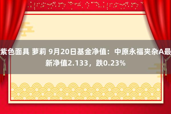 紫色面具 萝莉 9月20日基金净值：中原永福夹杂A最新净值2.133，跌0.23%