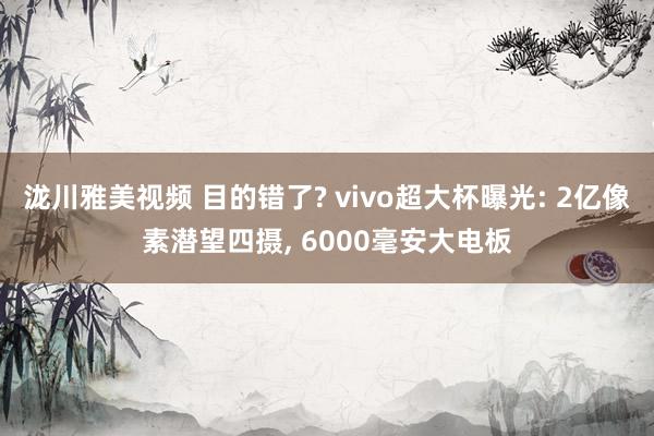 泷川雅美视频 目的错了? vivo超大杯曝光: 2亿像素潜望四摄， 6000毫安大电板