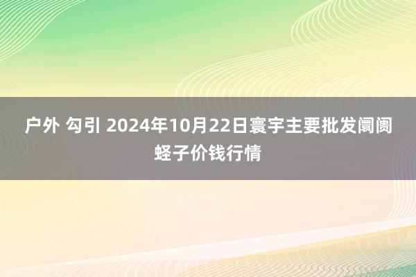 户外 勾引 2024年10月22日寰宇主要批发阛阓蛏子价钱行情
