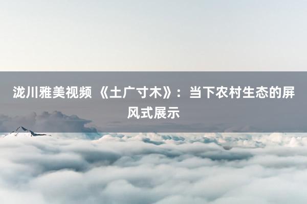 泷川雅美视频 《土广寸木》：当下农村生态的屏风式展示