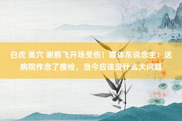 白虎 美穴 谢鹏飞开场受伤！媒体东说念主：送病院作念了搜检，当今应该没什么大问题