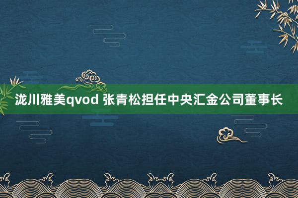 泷川雅美qvod 张青松担任中央汇金公司董事长