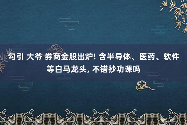 勾引 大爷 券商金股出炉! 含半导体、医药、软件等白马龙头， 不错抄功课吗