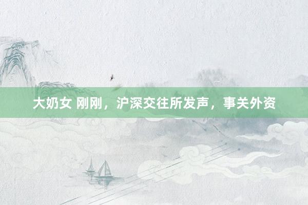 大奶女 刚刚，沪深交往所发声，事关外资