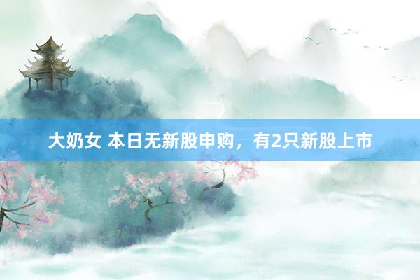 大奶女 本日无新股申购，有2只新股上市