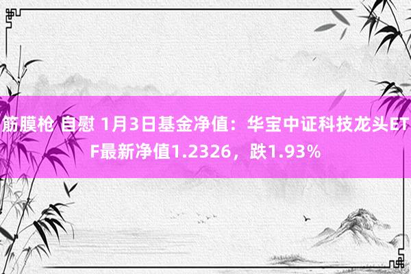 筋膜枪 自慰 1月3日基金净值：华宝中证科技龙头ETF最新净值1.2326，跌1.93%