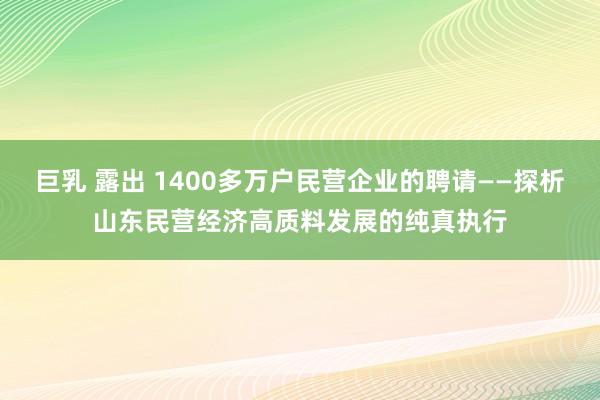 巨乳 露出 1400多万户民营企业的聘请——探析山东民营经济高质料发展的纯真执行