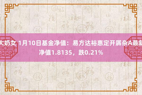大奶女 1月10日基金净值：易方达裕惠定开羼杂A最新净值1.8135，跌0.21%