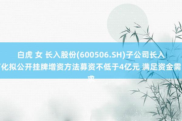 白虎 女 长入股份(600506.SH)子公司长入石化拟公开挂牌增资方法募资不低于4亿元 满足资金需求