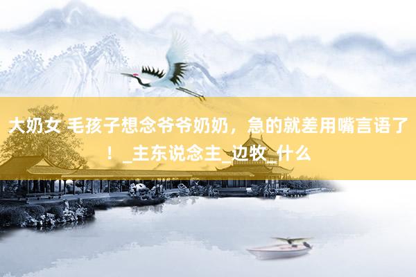 大奶女 毛孩子想念爷爷奶奶，急的就差用嘴言语了！_主东说念主_边牧_什么