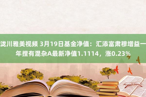 泷川雅美视频 3月19日基金净值：汇添富肃穆增益一年捏有混杂A最新净值1.1114，涨0.23%
