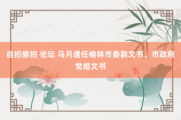 自拍偷拍 论坛 马月逢任榆林市委副文书、市政府党组文书