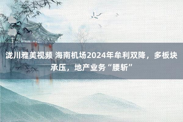 泷川雅美视频 海南机场2024年牟利双降，多板块承压，地产业务“腰斩”