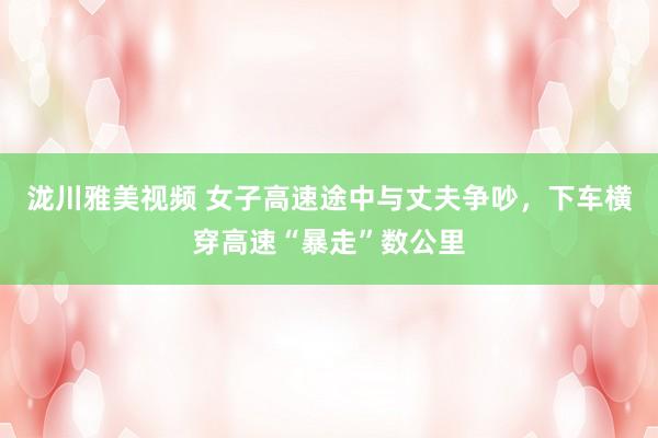 泷川雅美视频 女子高速途中与丈夫争吵，下车横穿高速“暴走”数公里