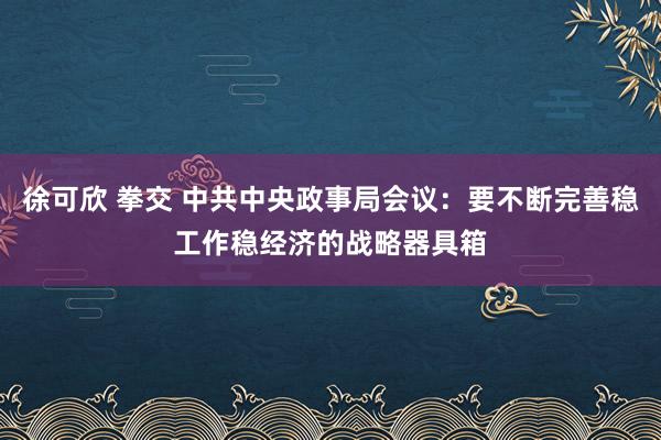 徐可欣 拳交 中共中央政事局会议：要不断完善稳工作稳经济的战略器具箱